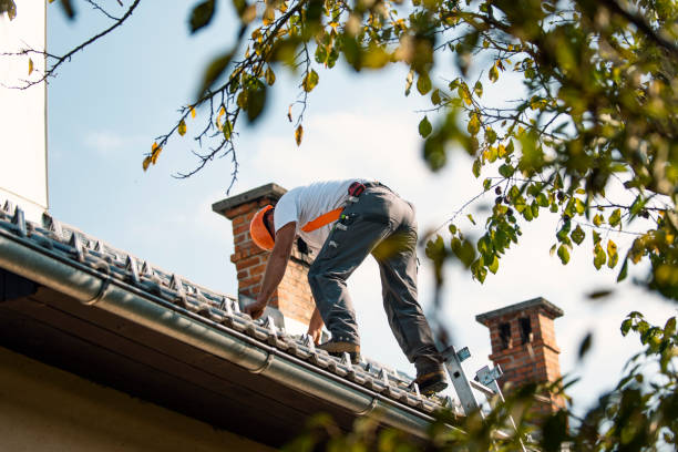 Best Roof Gutter Cleaning  in Newton, IA